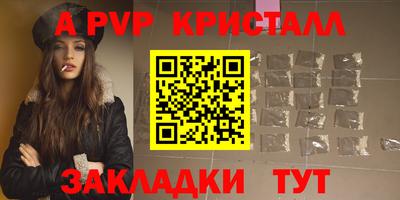 шишки Тара