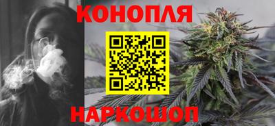 шишки Тара