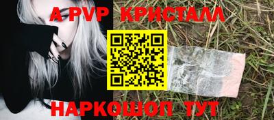 шишки Тара