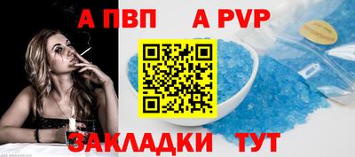 шишки Тара
